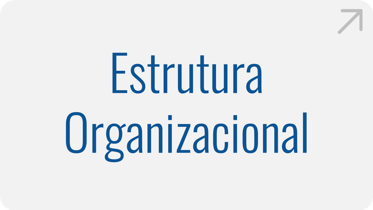 estrutura-organizacional.png