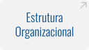 estrutura-organizacional.png