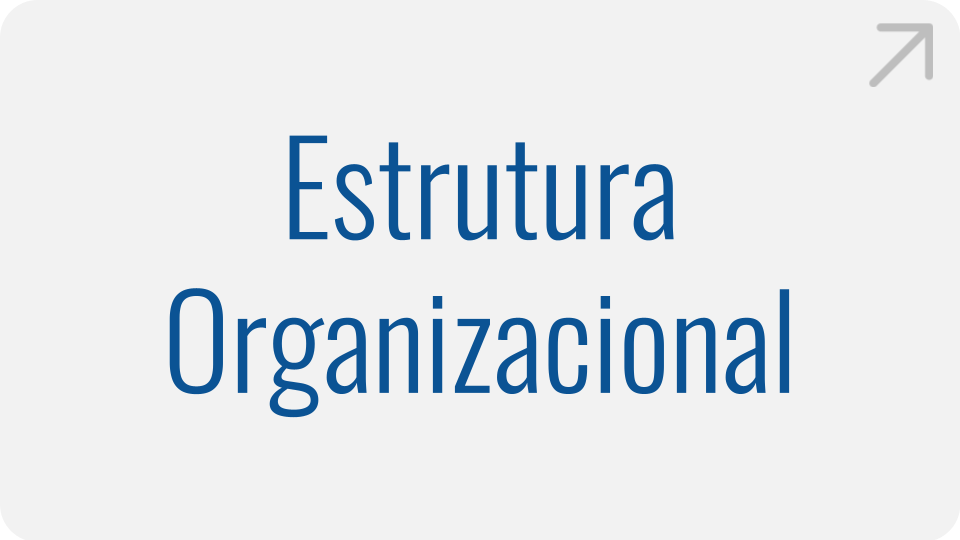 estrutura-organizacional.png