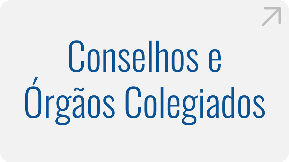 conselhos-e-orgaos-colegiados.png