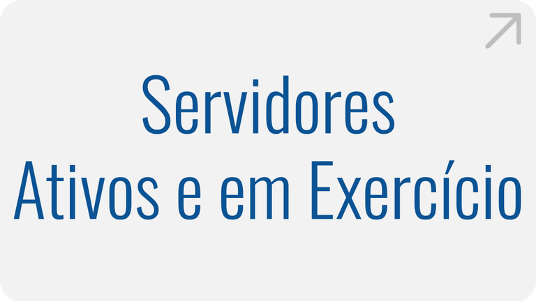 servidores-ativos-e-em-exercicio.png