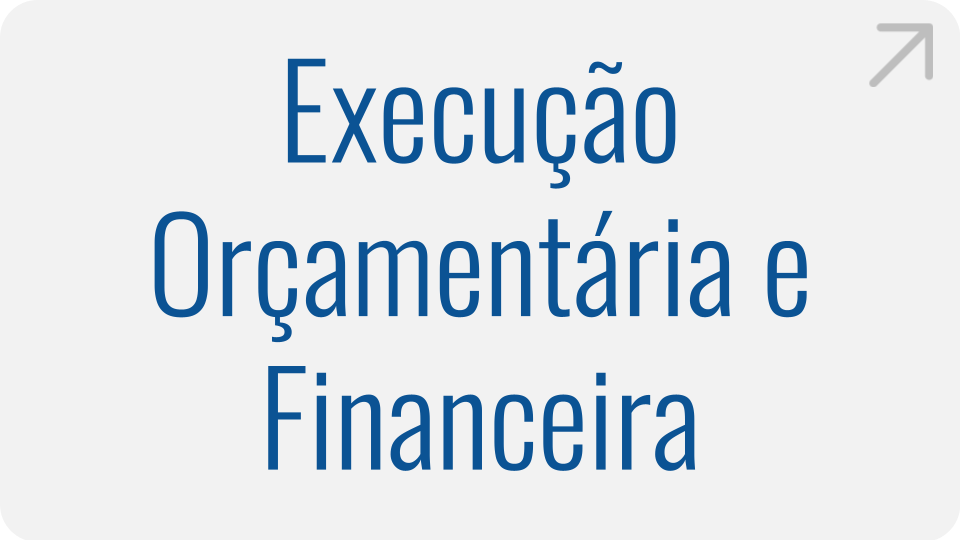 execucao-orcamentaria-e-financeira.png