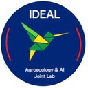 IDEAL logo