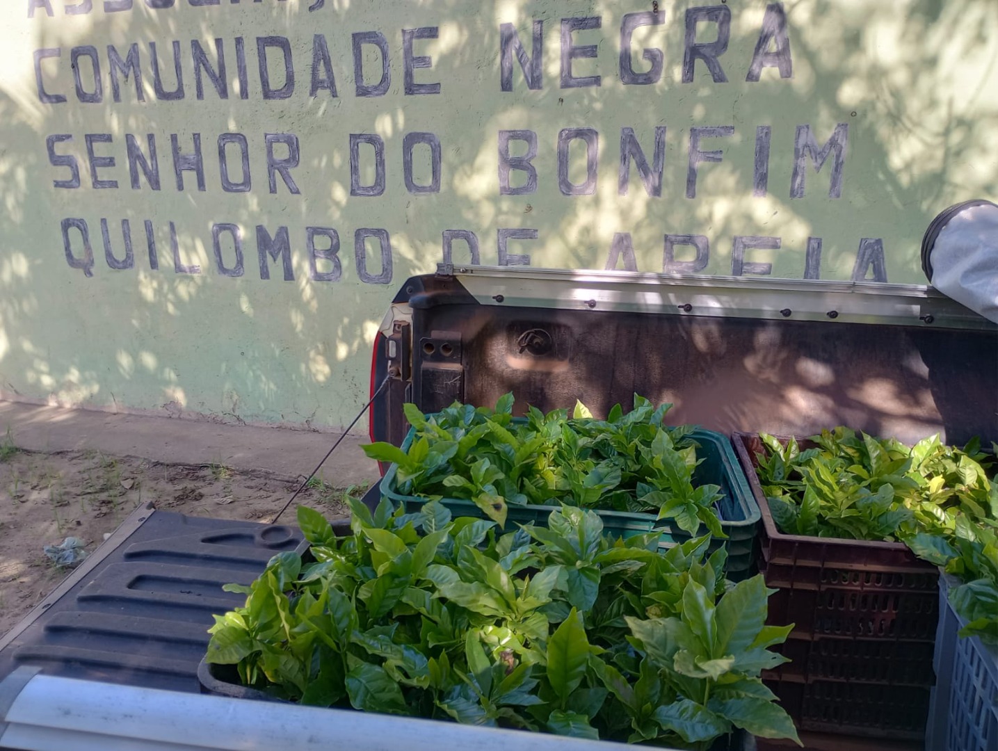 WhatsApp Image 2023-06-02 at 10.34.16.jpeg WhatsApp Image 2023-06-02 at 10.34.16.jpeg