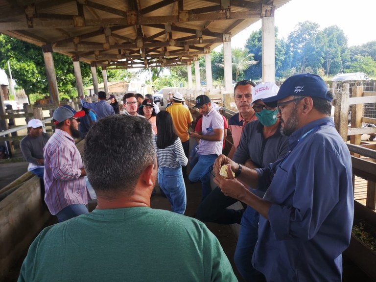 WhatsApp Image 2022-06-29 at 09.13.14.jpeg