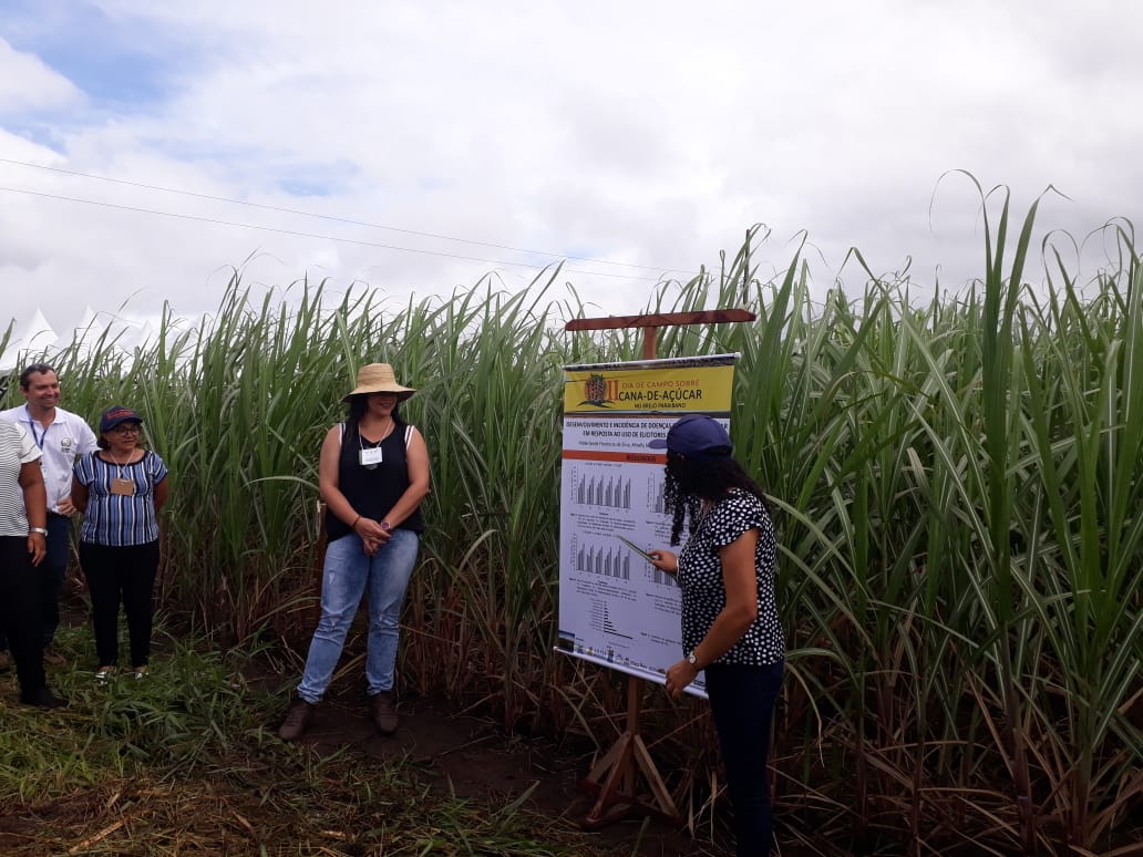 WhatsApp Image 2019-04-26 at 07.00.14 (2).jpeg