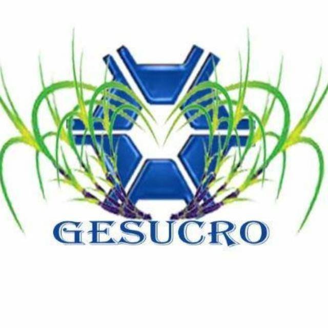 WhatsApp Image 2019-04-26 at 09.57.36.jpeg