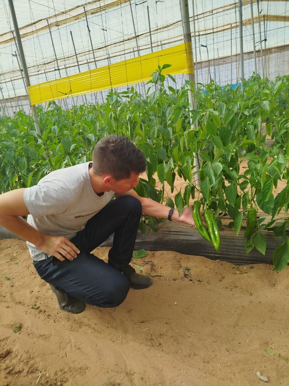 WhatsApp Image 2025-02-26 at 15.26.14.jpeg