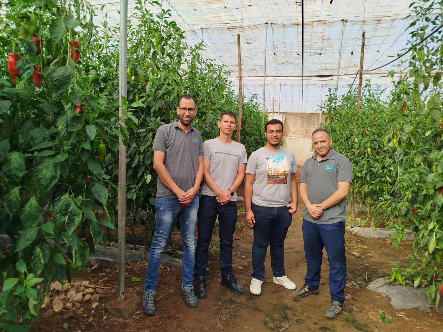 WhatsApp Image 2025-02-26 at 15.26.23.jpeg