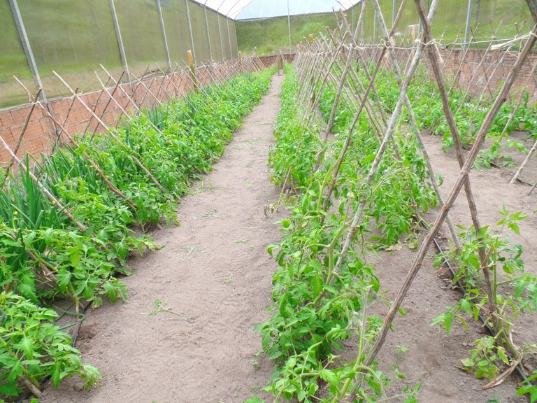 WhatsApp Image 2017-09-06 at 20.21.45.jpeg