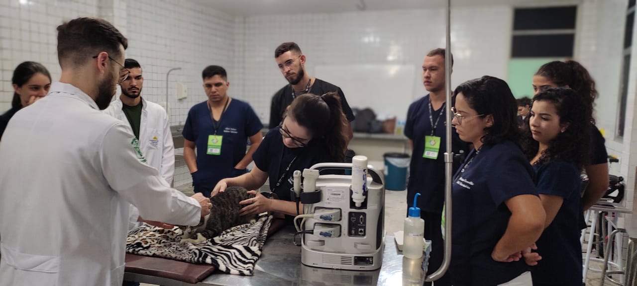 WhatsApp Image 2022-09-22 at 10.02.11 (1).jpeg