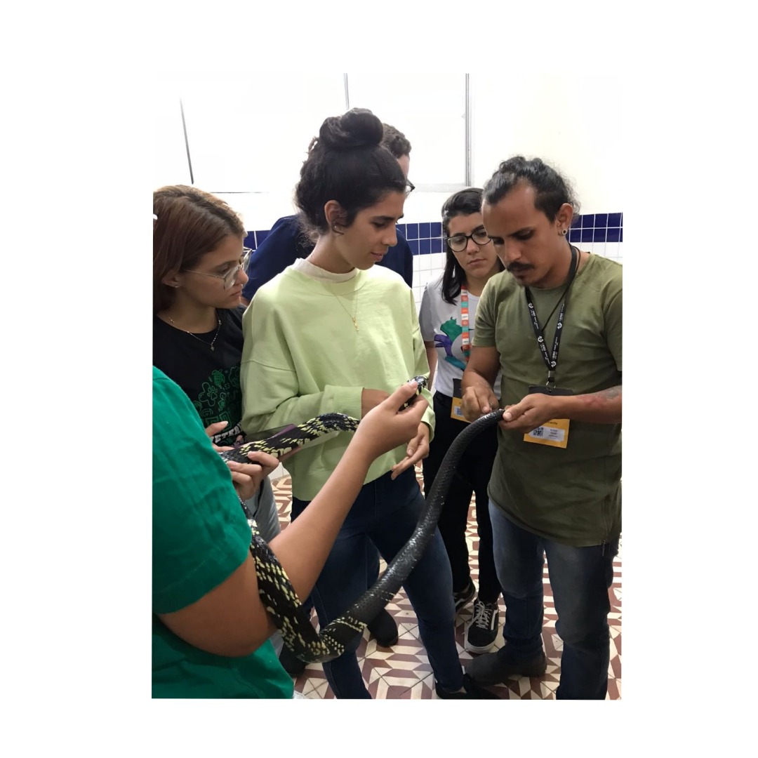 WhatsApp Image 2022-09-22 at 10.02.15.jpeg