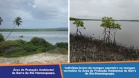 O projeto Replanta Mangue – PB é uma iniciativa liderada pela ONG SOS Sertão, em parceria com a UFPB e outras entidades, visando à preservação dos ecossistemas costeiros e mitigação das mudanças climáticas