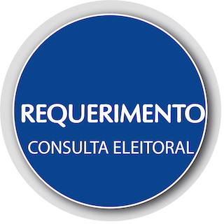 requerimento_consultaeleitoral.png