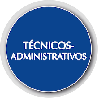 tecnicos_administrativos.png