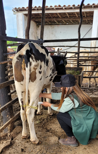 Além de beneficiar diretamente produtores rurais das regiões, projetos também trazem ganhos à população