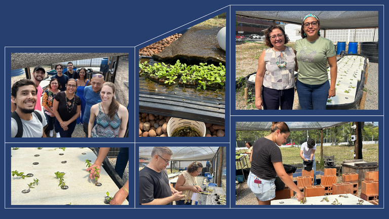 Objetivo é otimizar e replicar um sistema que possibilite uma produção de baixo custo para uso por agricultores