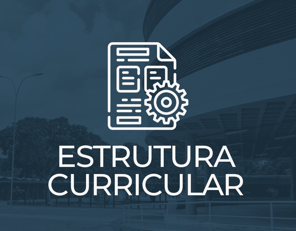 estruturacurrcularinterna.png