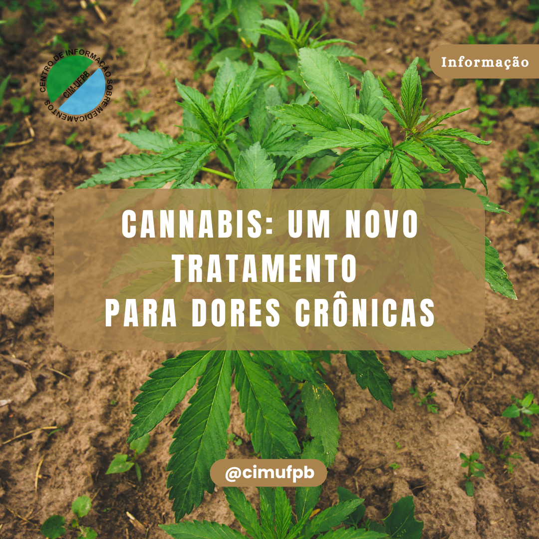 Cannabis