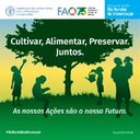 alimentação