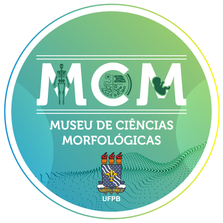 Logotipo MCM sem fundo-01 (3).png