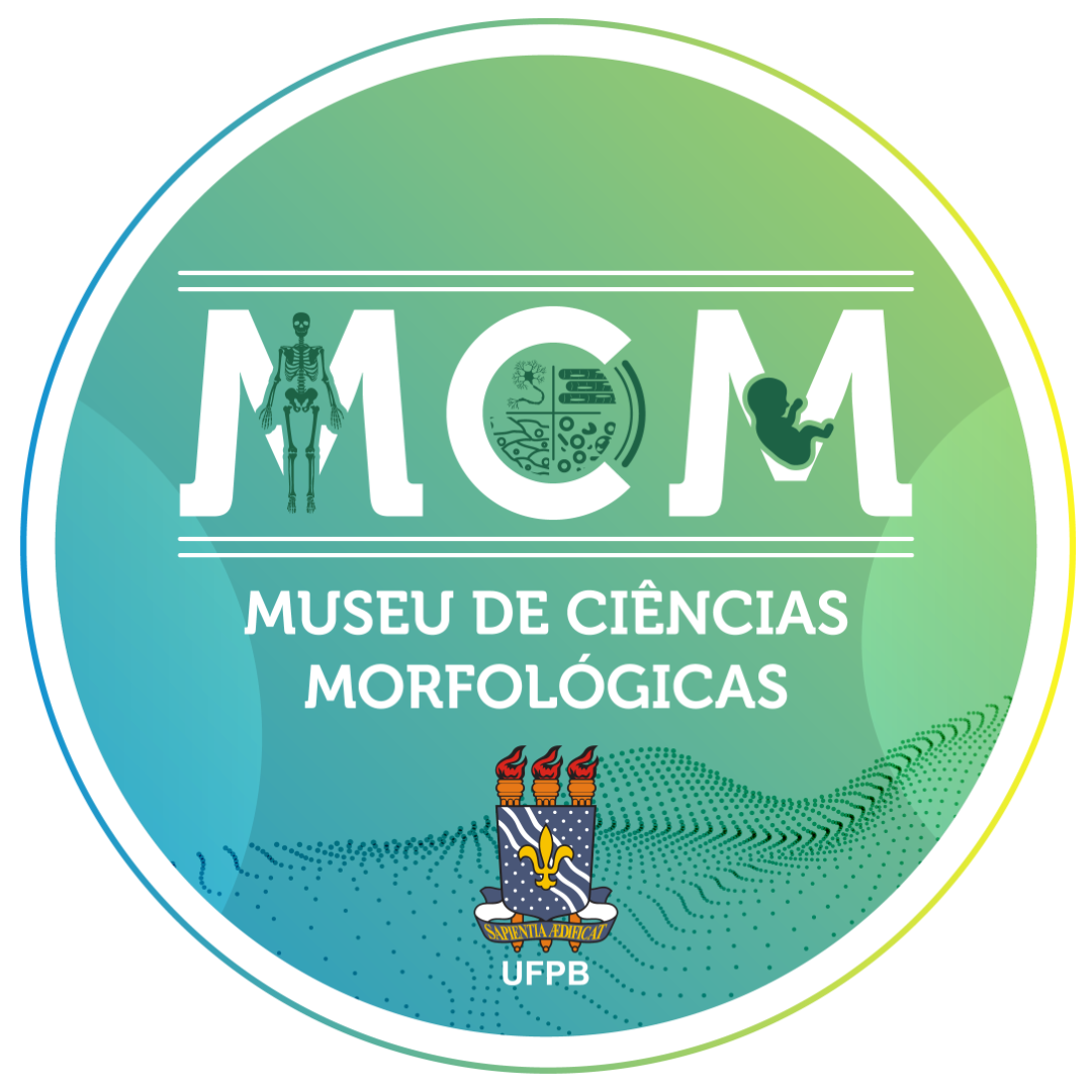 Logotipo MCM sem fundo-01 (3).png