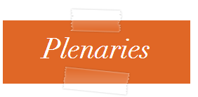 Plenaries.PNG