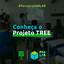 Conheça o projeto TREE