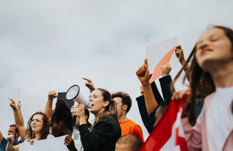 Participação política.png