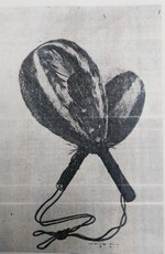 Imagem do Bapo
(retirada do livro de Helza Camêu)