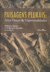Capítulo no livro: PAISAGENS PLURAIS: Artes Visuais & Transversalidades / 2012