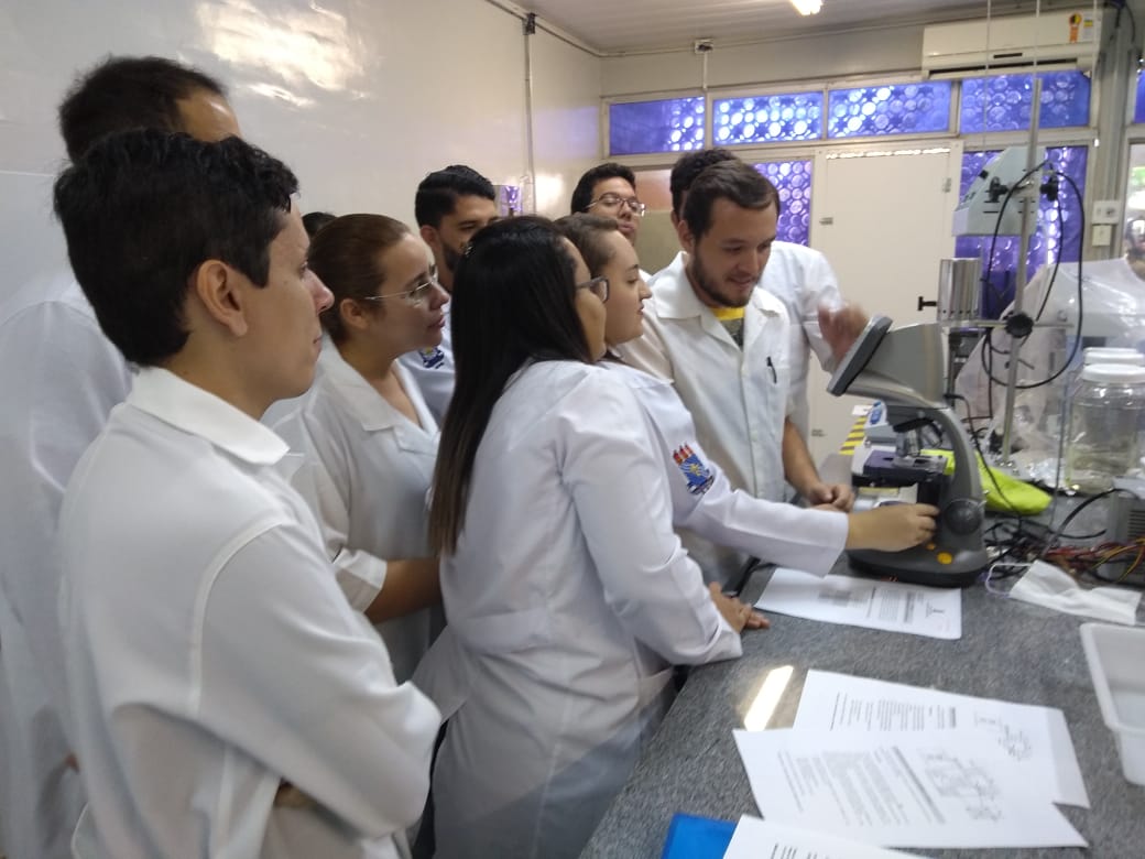 Contagem de celulas 02