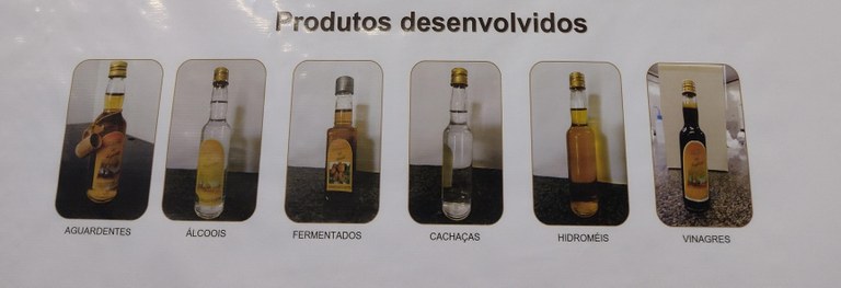 Produtos Fermento Destilados