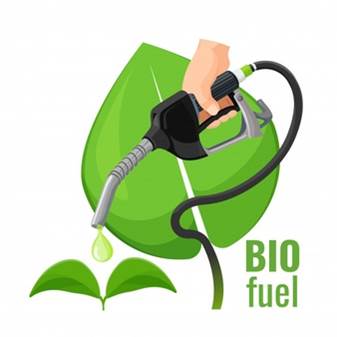 Biocombustíveis