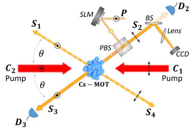 Diagrama experimental simplificado