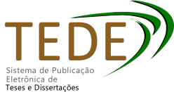 Biblioteca Digital de Teses e Dissertações.png