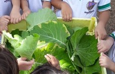 Crianças na colheita dos vegetais cultivados na horta da Escola Donzinha Bezerra, em Bananeiras. Imagem cedida pelo projeto.