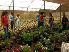 Floricultoras da Associação de Flores Vila Real beneficiadas pelo projeto de extensão “Capacitação, empoderamento e aumento de renda das floricultoras do Brejo paraibano”, desenvolvido em Areia-PB. Imagem cedida pela equipe