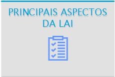 Principais aspectos da LAI.jpg
