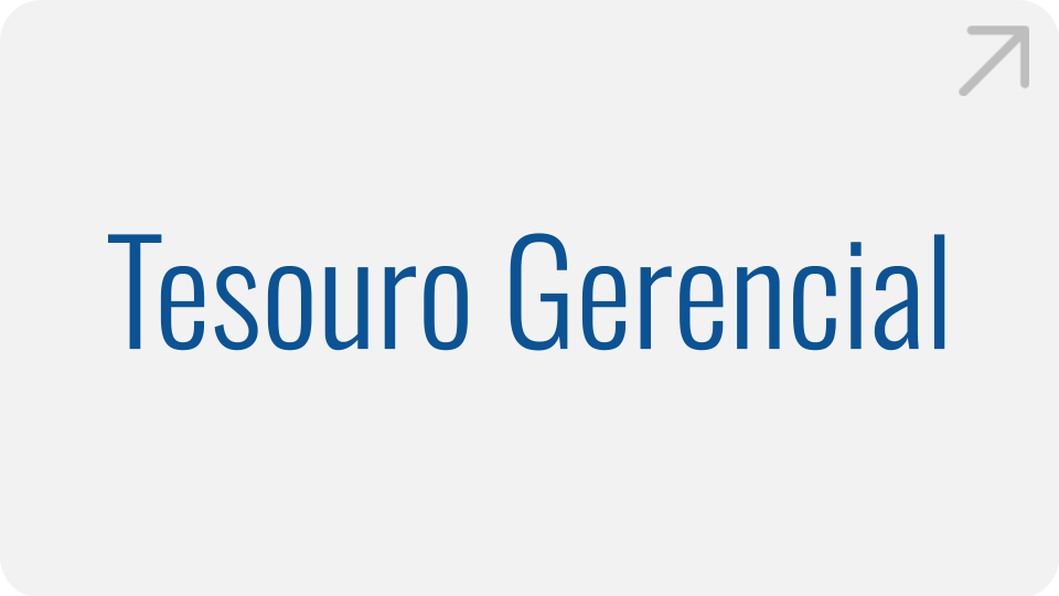 tesouro-gerencial.png