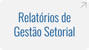 relatorios-de-gestao-setorial.png