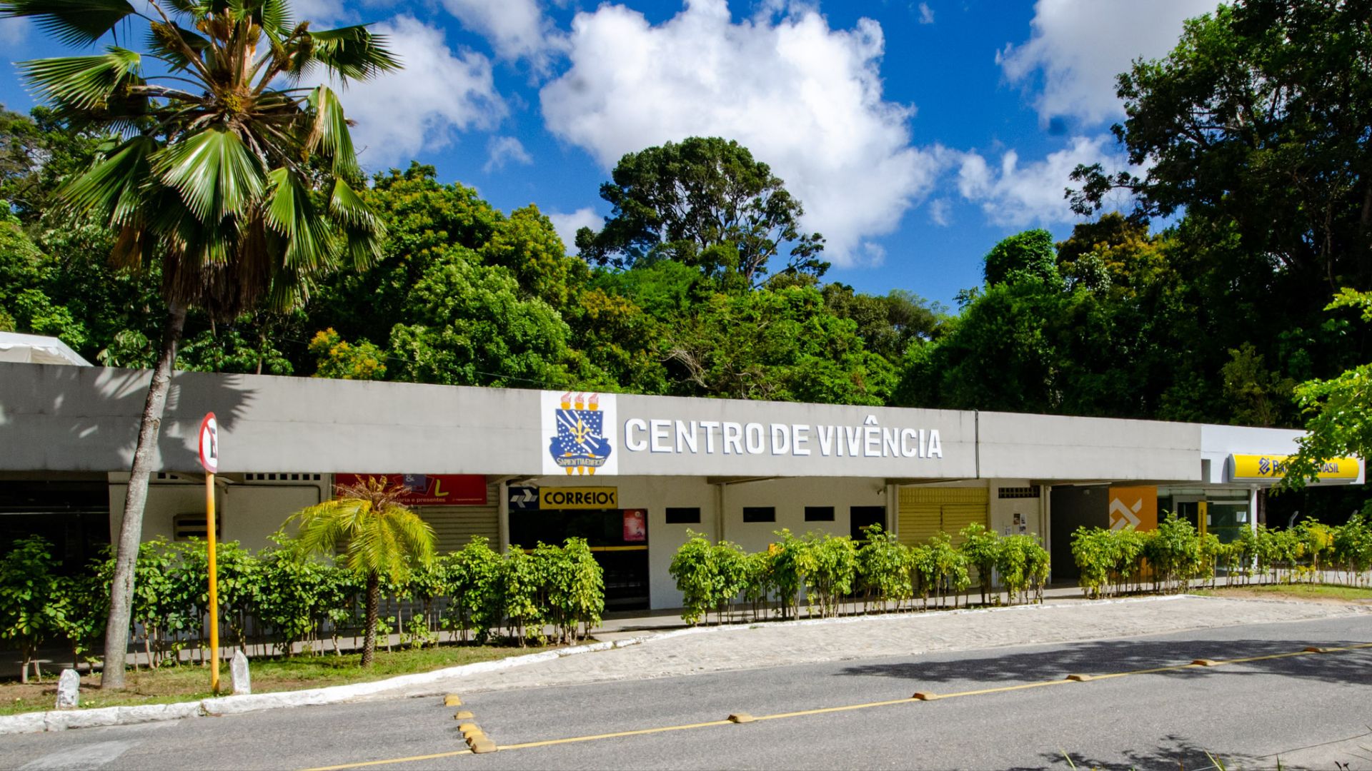 Pró-reitoria de graduação realiza “Imersão na UFPB” para recepcionar alunos ingressantes Pró-reitoria de graduação realiza “Imersão na UFPB” para recepcionar alunos ingressantes