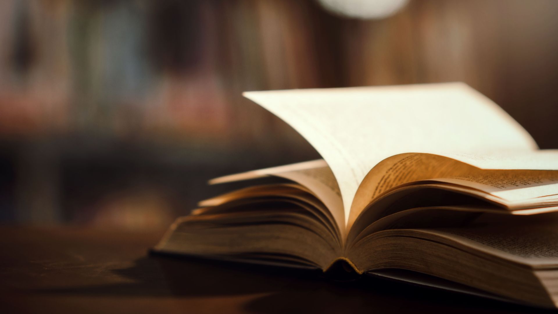 UFPB sedia Congresso Nacional Jorge Amado com foco em literatura, identidade e cultura UFPB sedia Congresso Nacional Jorge Amado com foco em literatura, identidade e cultura