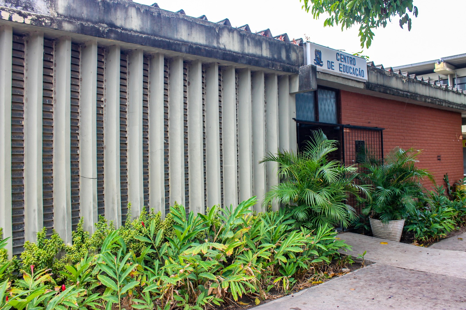 Foto: Angélica Gouveia