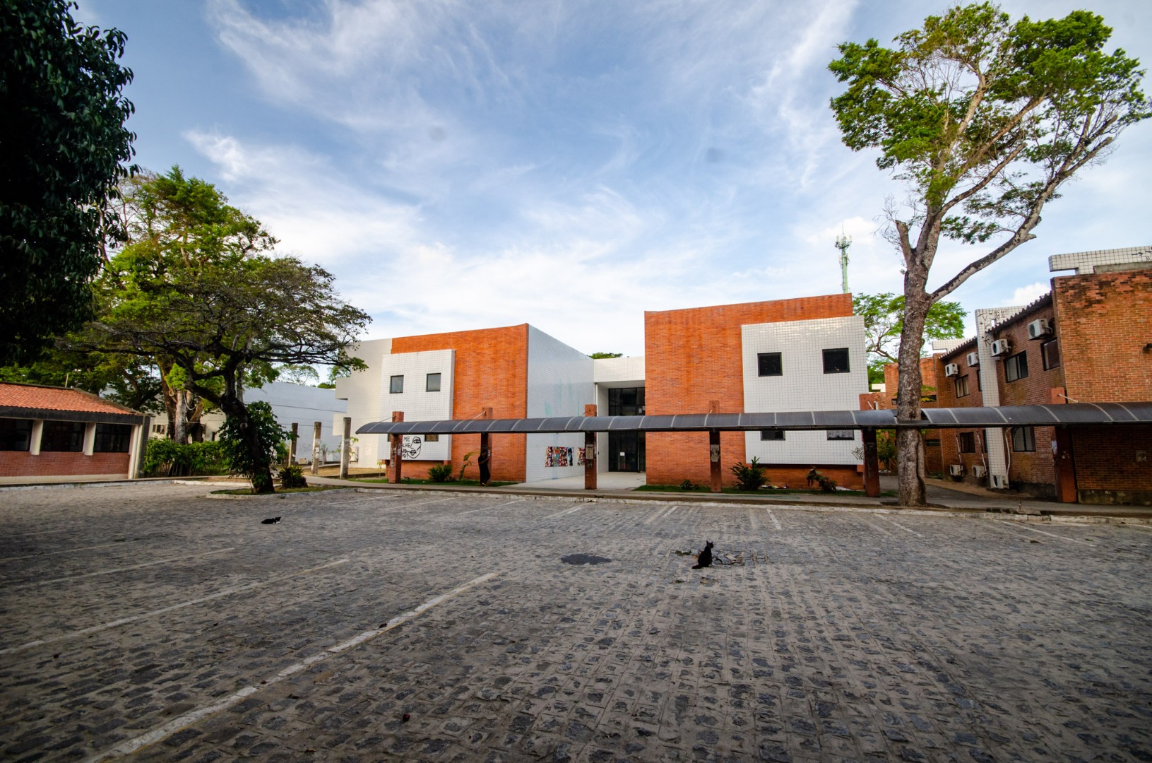 Curso de Cinema e Audiovisual da UFPB prorroga prazo para projeto ‘Prata da Casa’ Foto: Angélica Gouveia