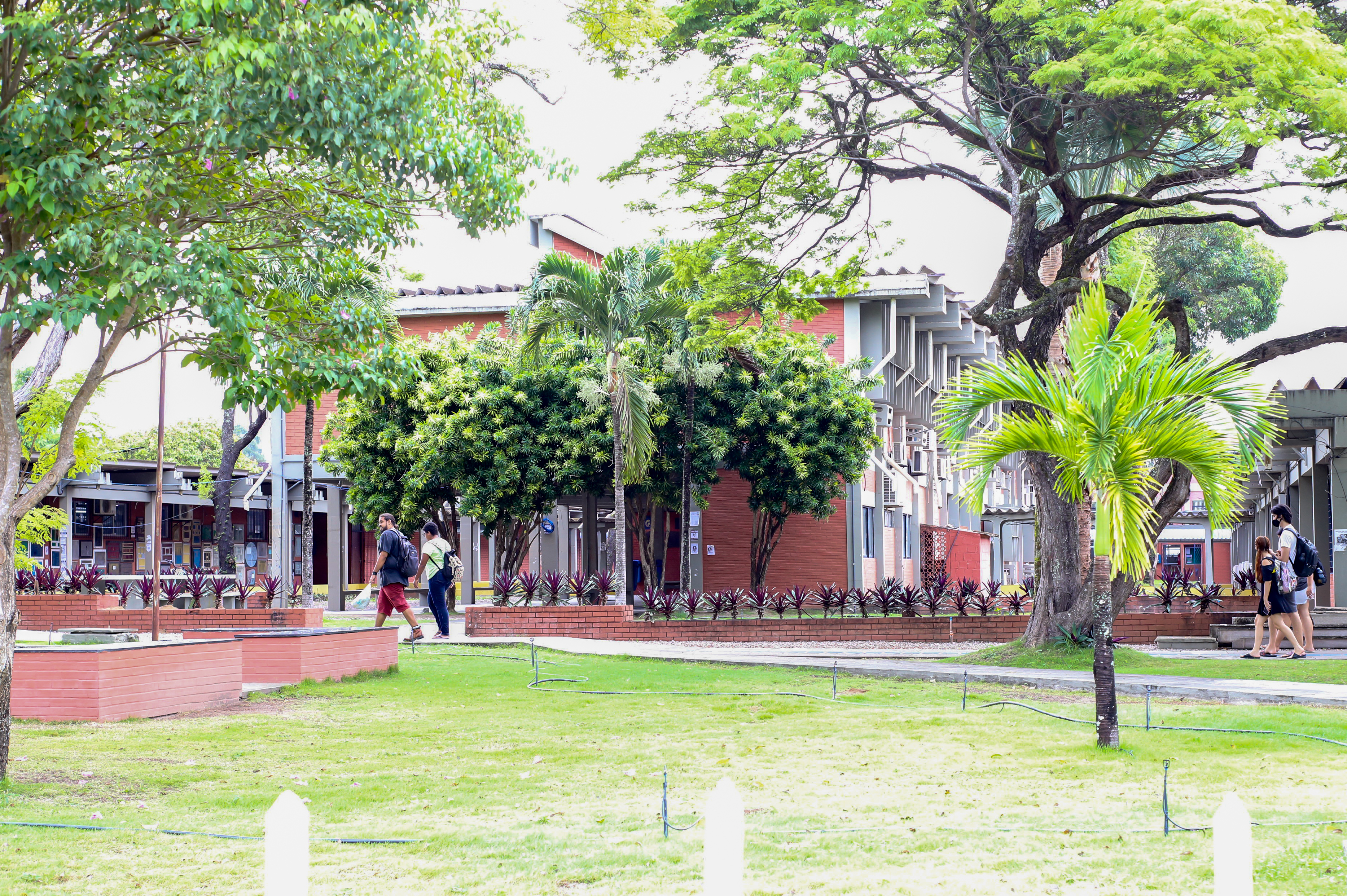 CURSO DE LETRAS CLÁSSICAS DA UFPB PROMOVE EVENTO ESTUDOS CLÁSSICOS & POP CULTURE