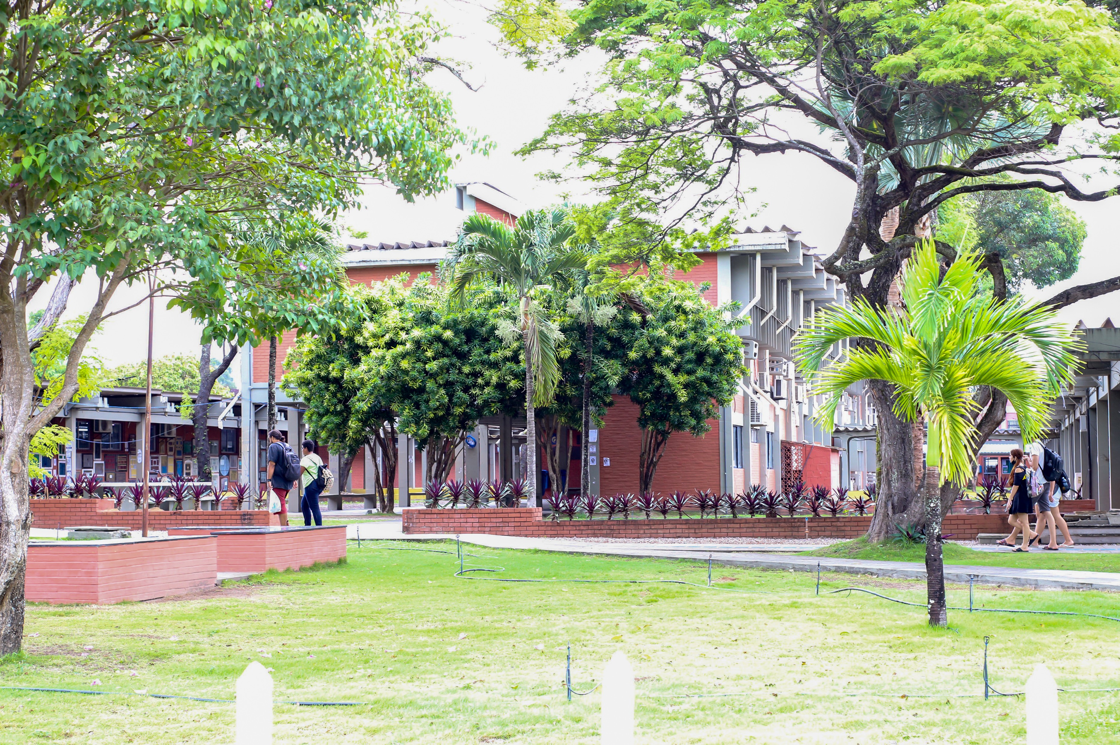 MESTRADO PROFISSIONAL EM LINGUÍSTICA E ENSINO DA UFPB LANÇA EDITAL DE SELEÇÃO COM 30 VAGAS