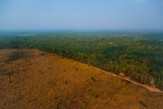 A professora e pesquisadora da UFPB, Eliane Superti, aponta que a economia verde, segundo estudiosos, pode ser a solução para preservar a floresta. Nesta perspectiva, para lucrar com a degradação, é necessário compensar com ações de preservação. Foto: Marcio Isensee e Sá