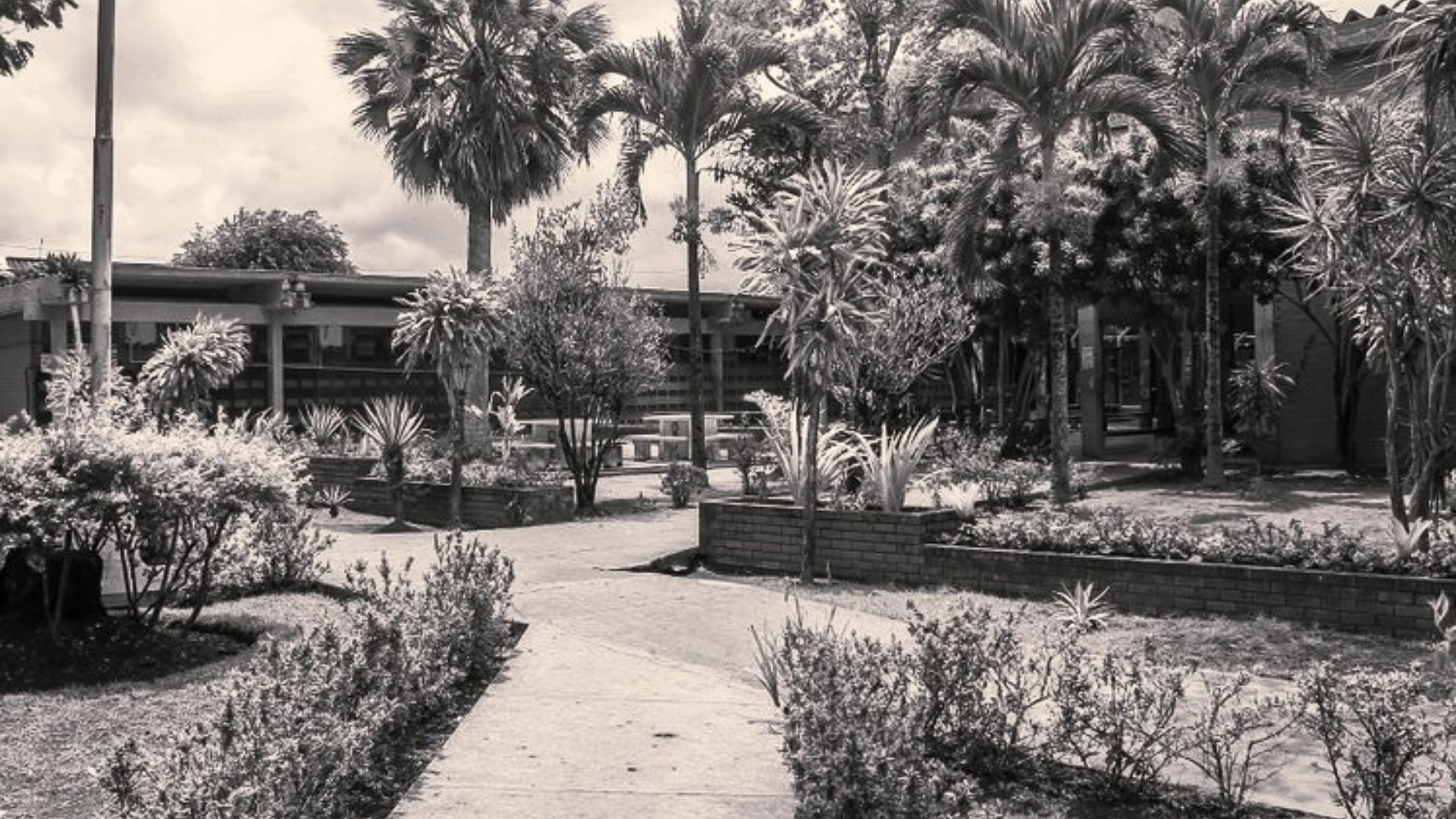 Notas de Pesar Notas de Pesar