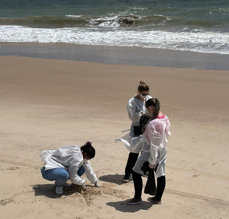 Pesquisadores da UFPB identificam parasitas intestinais em 10 trechos de praias do Litoral Sul